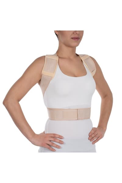 Wingmed Postureks Korse (Model 2567)